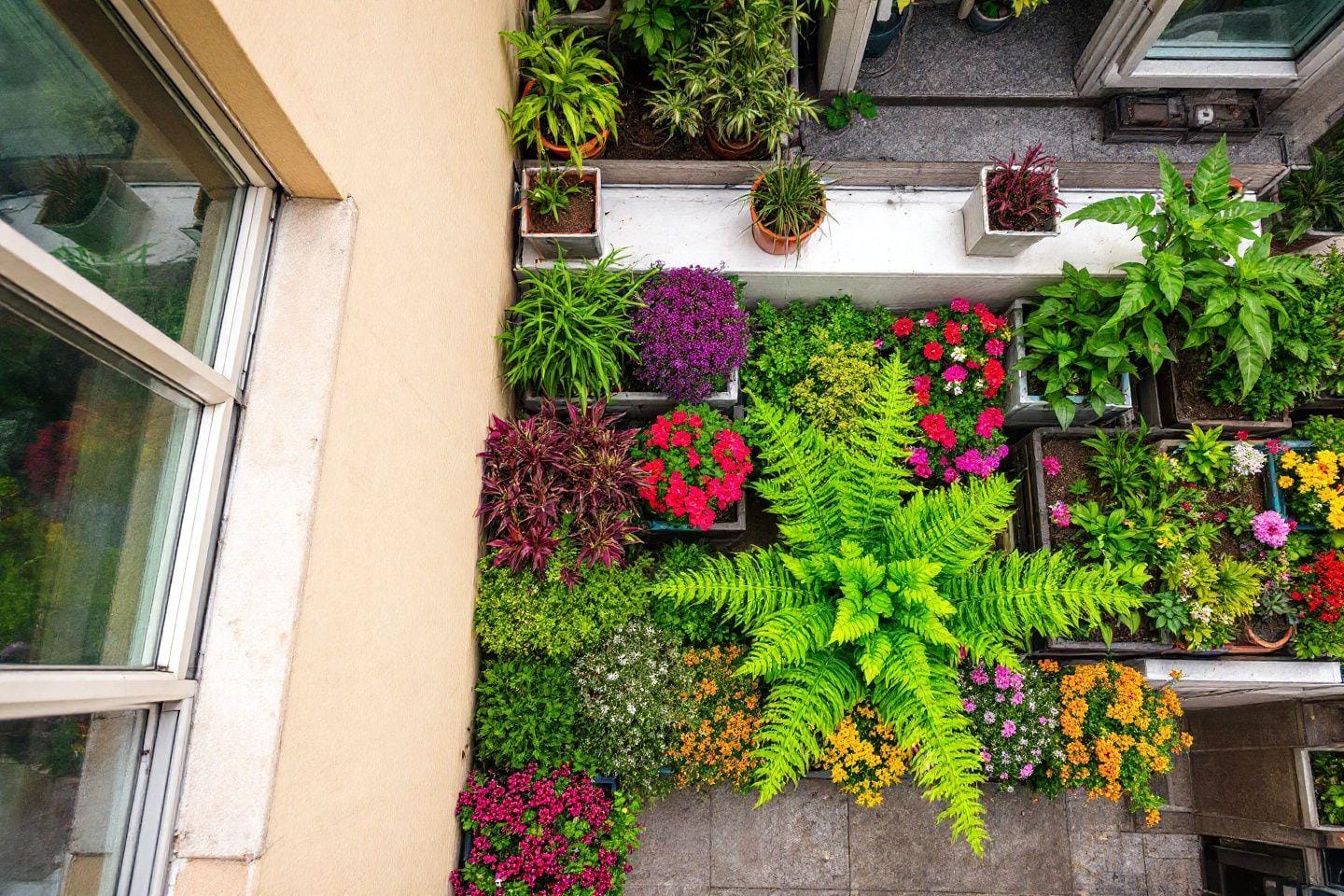 Comment créer un potager sur balcon de 3m² en appartement ? Comment créer un potager sur balcon de 3m² en appartement ?