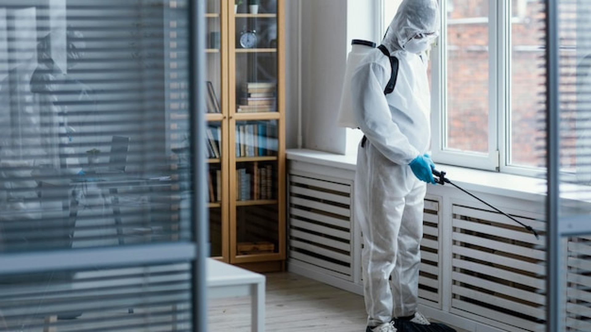 Pourquoi la désinsectisation est essentielle pour votre maison ou votre entreprise ? pourquoi la désinsectisation est essentielle pour votre maison ou votre entreprise